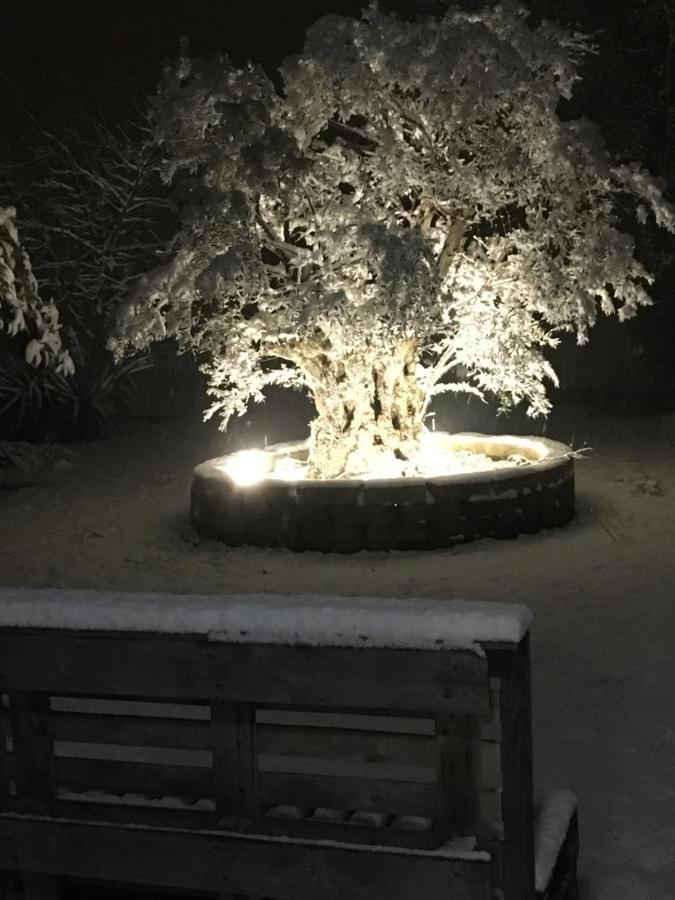 Il Leccio Bed & Breakfast San Lazzaro di Savena Luaran gambar